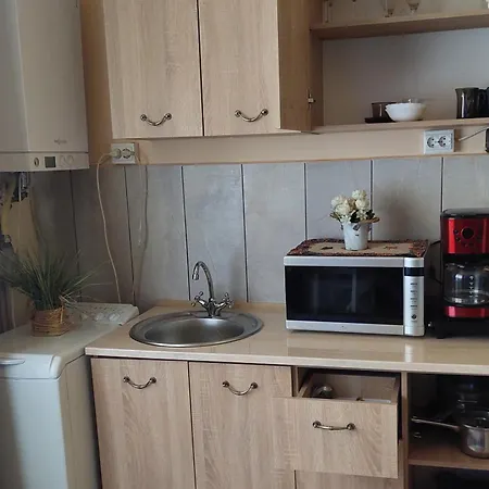 Apartment Saray Republicii *